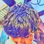 shinのプロフィール画像