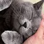 あやかのプロフィール画像