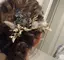 mraのプロフィール画像