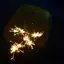 花火のプロフィール画像