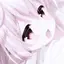 -  ̫ -のプロフィール画像