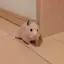 のあのプロフィール画像
