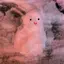 萌萌のプロフィール画像