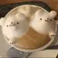 miのプロフィール画像