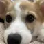 優里菜のプロフィール画像