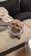 あすなのプロフィール画像
