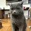 そーたのプロフィール画像