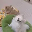 由衣のプロフィール画像