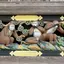 タロサマのプロフィール画像