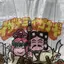 藍奈のプロフィール画像