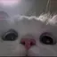 まいのプロフィール画像