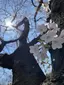 大地のプロフィール画像