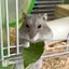 ユウナのプロフィール画像