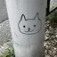 ニャーーのプロフィール画像