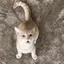 Ainaのプロフィール画像