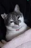 mamyのプロフィール画像