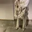 Hiのプロフィール画像