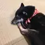 あおいのプロフィール画像