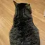 かおりのプロフィール画像