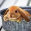 yukiのプロフィール画像