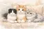 かおりのプロフィール画像