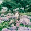 さえのプロフィール画像
