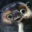 おーのプロフィール画像
