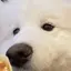 琴未のプロフィール画像