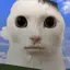 くまのプロフィール画像