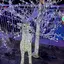 みきのプロフィール画像