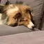 なしのプロフィール画像