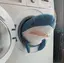 もこのプロフィール画像