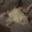 りぃのプロフィール画像