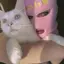 MOEPIのプロフィール画像