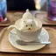 ふかひれのプロフィール画像