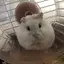 yuのプロフィール画像