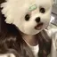 rのプロフィール画像