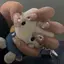 ももかのプロフィール画像