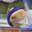 yeoleumのプロフィール画像