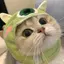 mayuのプロフィール画像