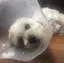 みきのプロフィール画像
