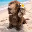 🐰🥀🤍のプロフィール画像