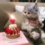 ゆのプロフィール画像
