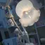 みやびのプロフィール画像