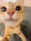 ら。のプロフィール画像