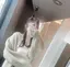 ななのプロフィール画像