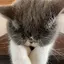 chiaのプロフィール画像