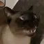 monaのプロフィール画像