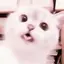 あまねのプロフィール画像