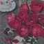 ♡K♡のプロフィール画像
